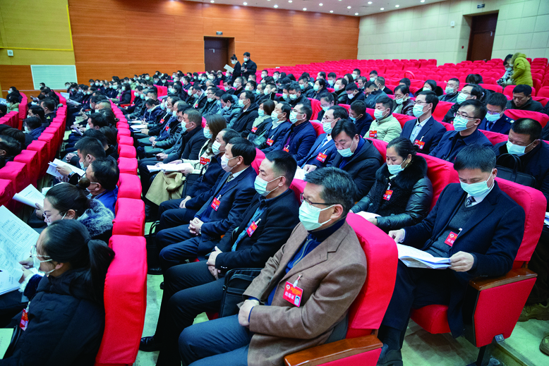 出席政協(xié)濱?？h十三屆五次會議的委員們