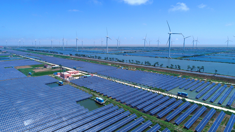 我縣沿海陸上風(fēng)電和光伏發(fā)電項目一瞥